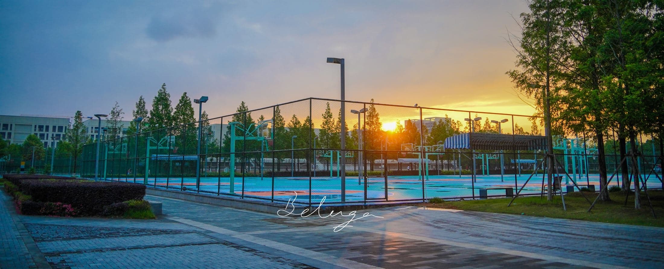 浙江科技大学安吉校区道路晨景