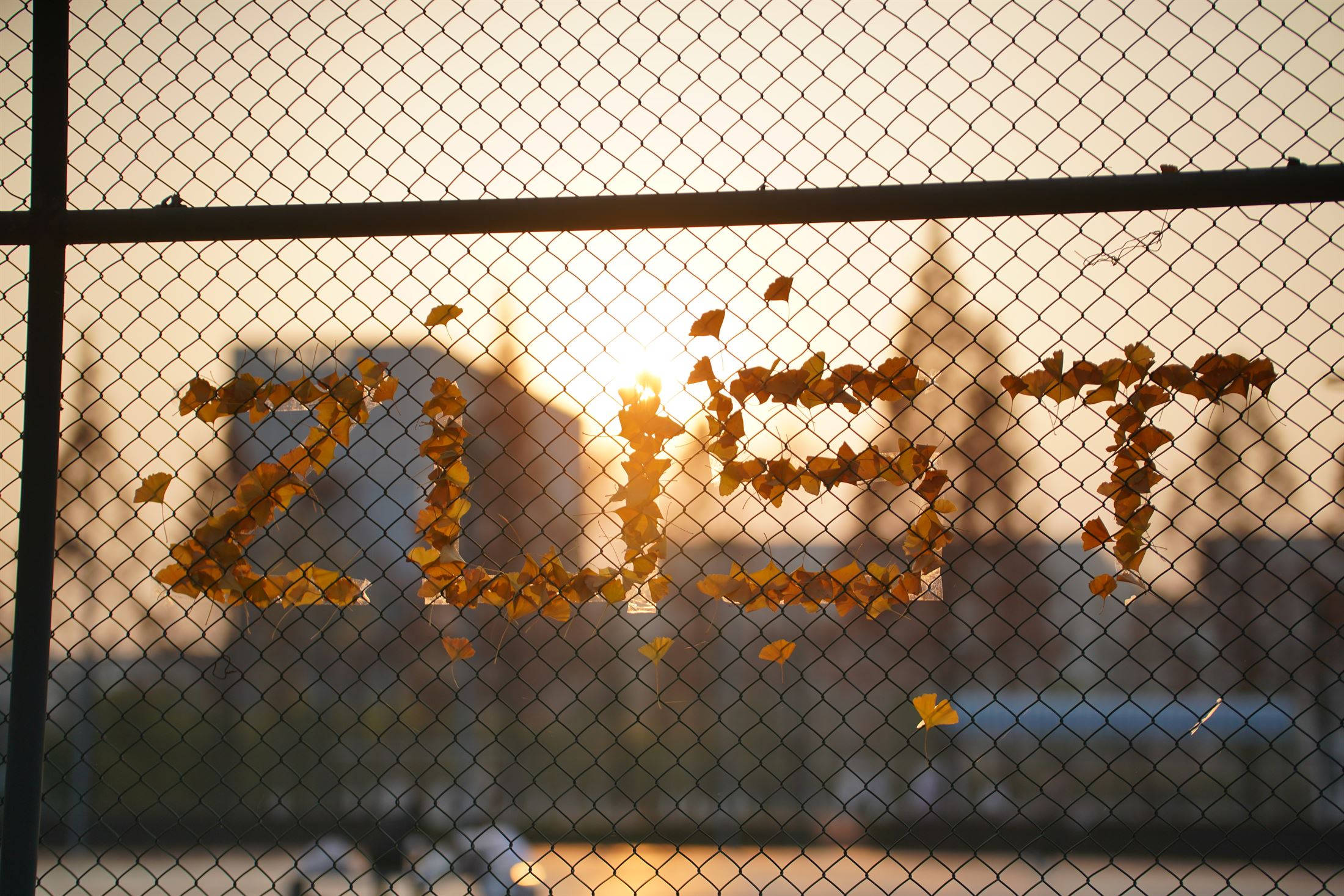 浙江科技大学文化景观墙
